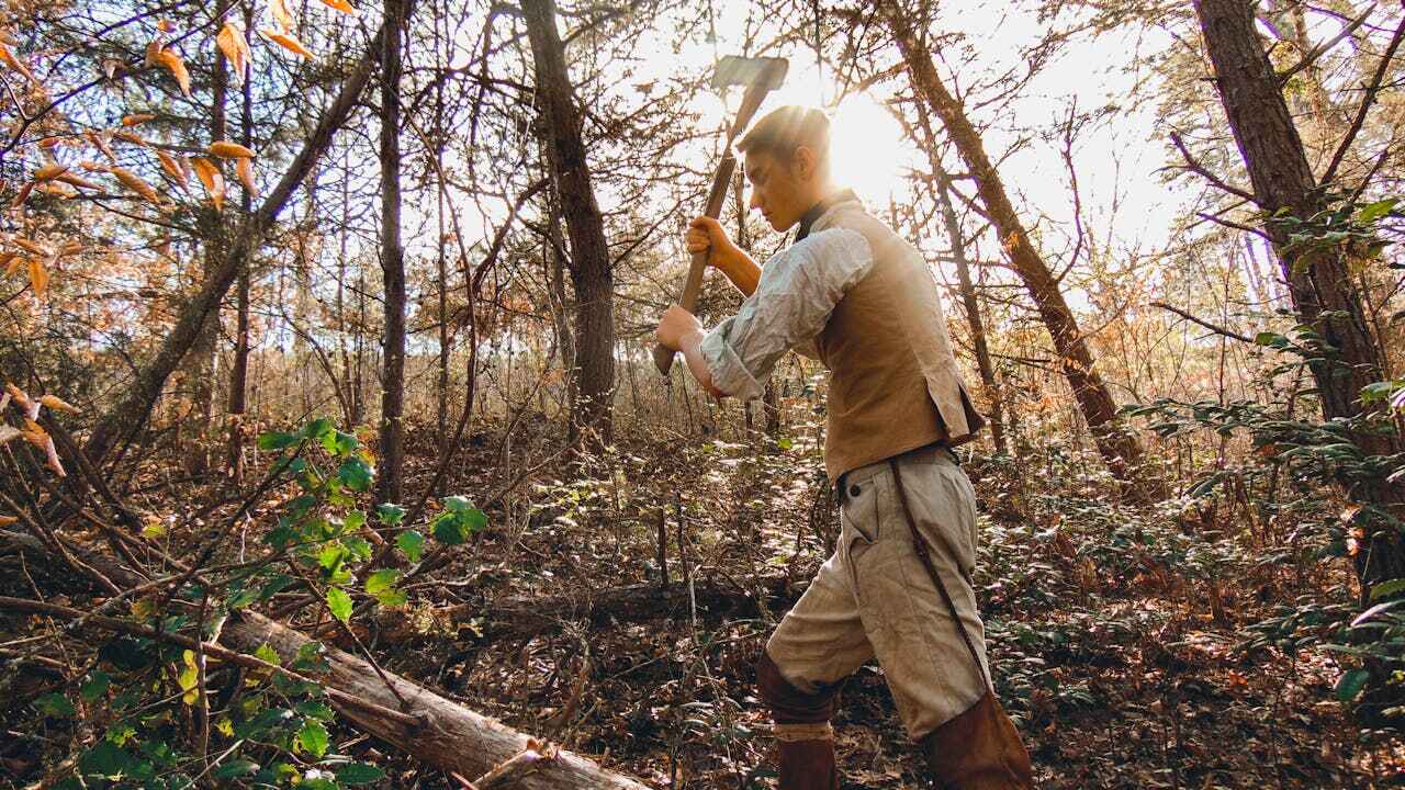 Tree Branch Trimming in Blaine, MN